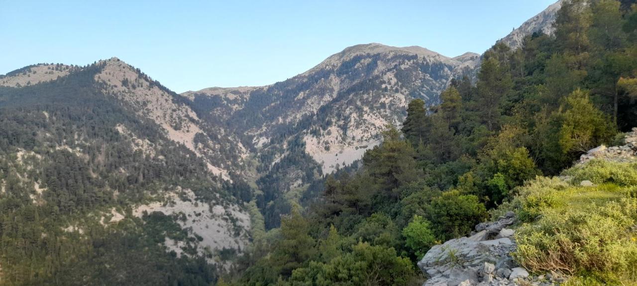 Vlachia Το Σπίτι Της Ελένης 아파트 외부 사진