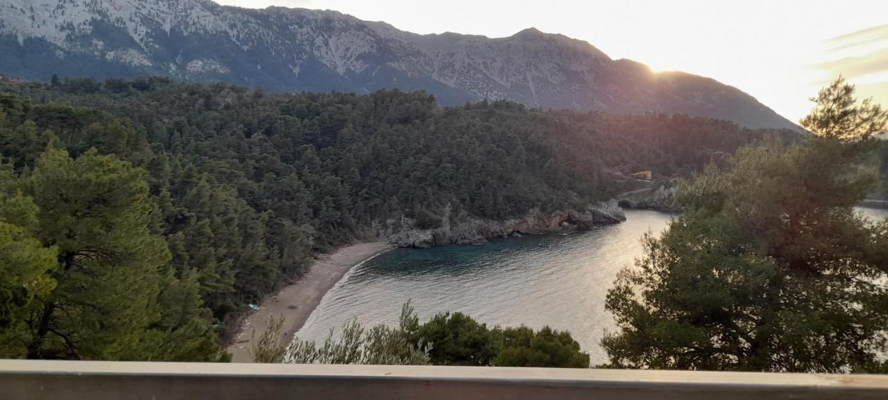 Vlachia Το Σπίτι Της Ελένης 아파트 외부 사진