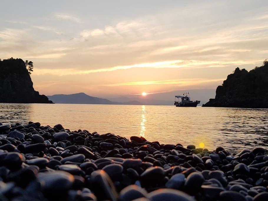 Vlachia Το Σπίτι Της Ελένης 아파트 외부 사진