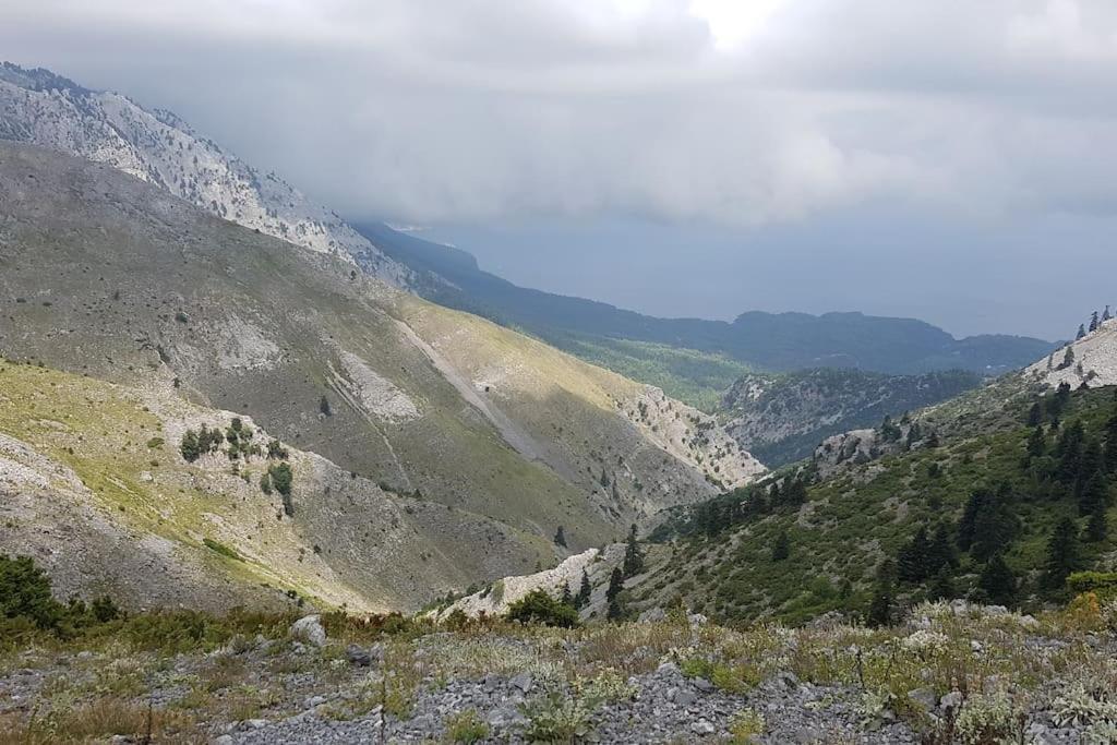 Vlachia Το Σπίτι Της Ελένης 아파트 외부 사진