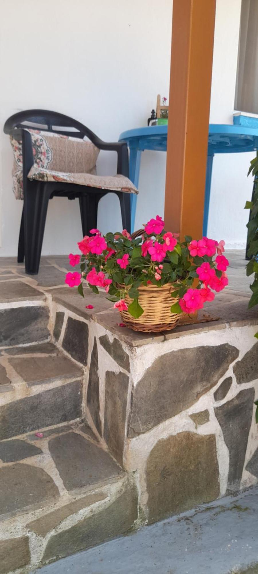 Vlachia Το Σπίτι Της Ελένης 아파트 외부 사진