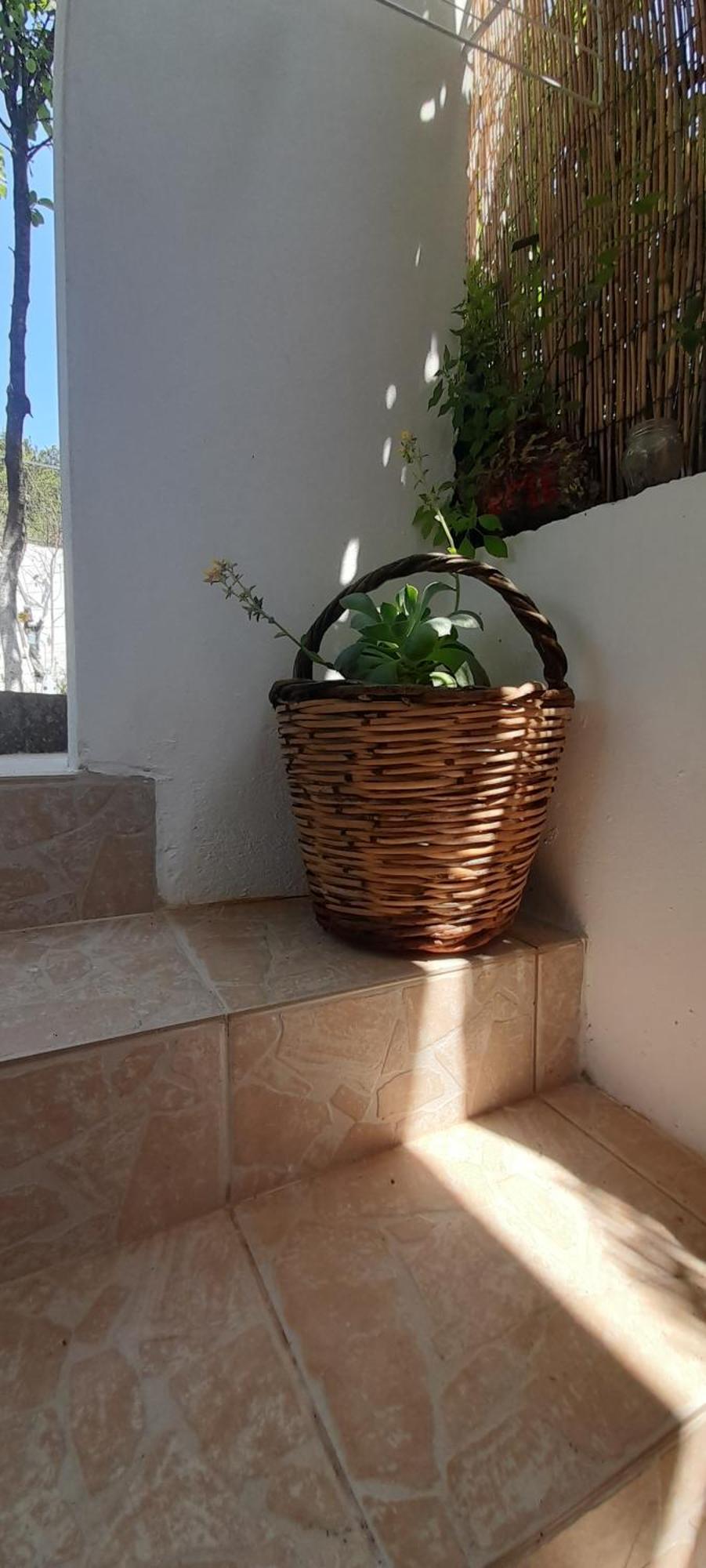 Vlachia Το Σπίτι Της Ελένης 아파트 외부 사진