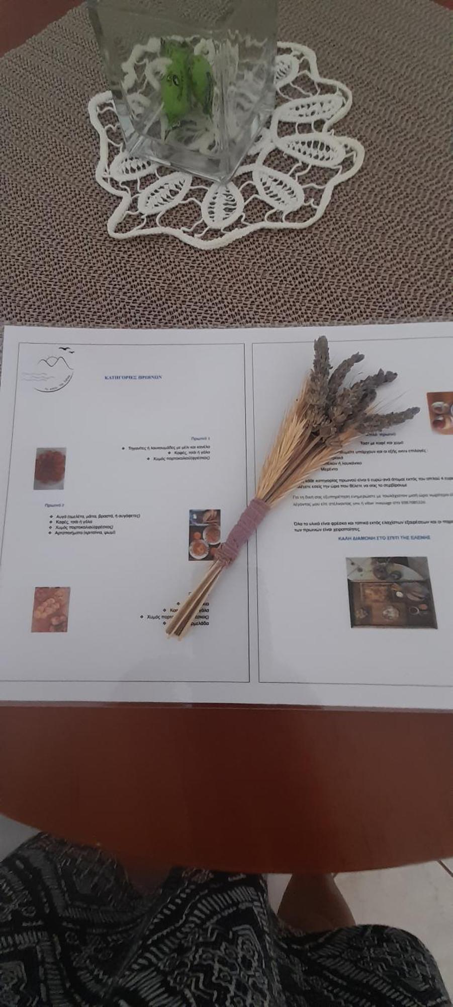 Vlachia Το Σπίτι Της Ελένης 아파트 외부 사진